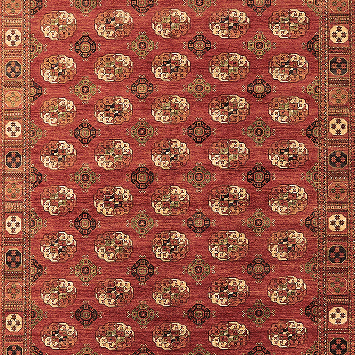 Machine Washable Southwestern Brown Country Rug, wshurb2413brn