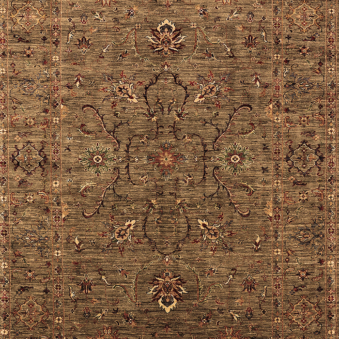 Oriental Brown Traditional Rug, urb2419brn