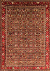 Oriental Orange Traditional Rug, urb2422org