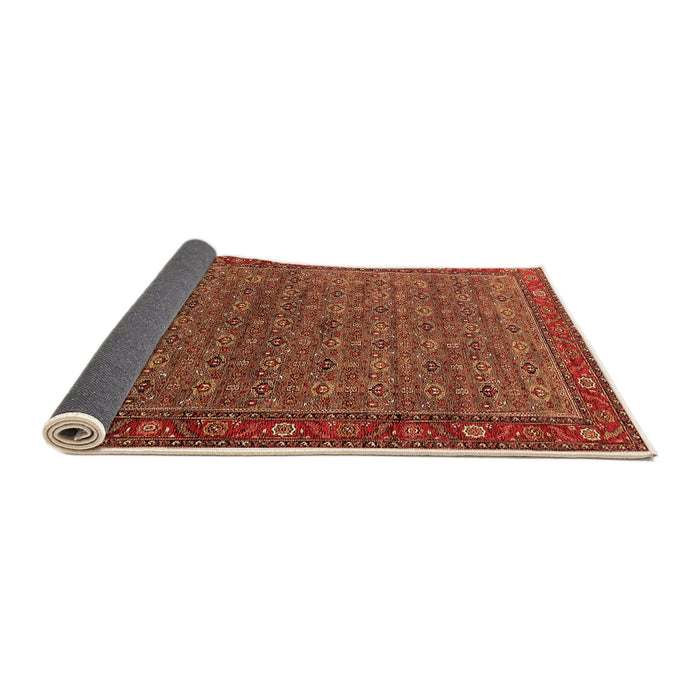 Sideview of Oriental Orange Traditional Rug, urb2422org