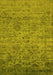 Oriental Yellow Traditional Rug, urb2437yw