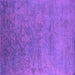 Square Persian Purple Bohemian Rug, urb2441pur