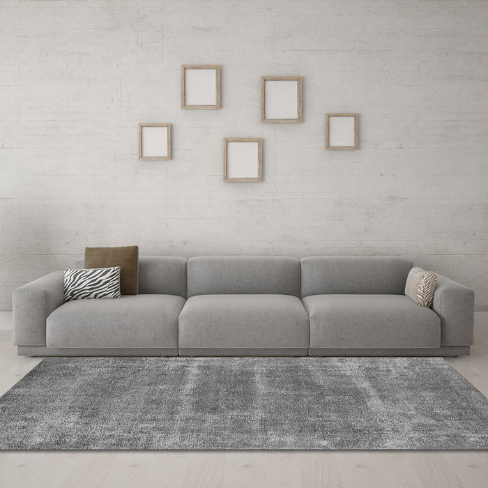 Machine Washable Oriental Gray Industrial Rug in a Living Room,, wshurb2446gry