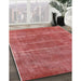 Mid-Century Modern Red Oriental Rug in Family Room, urb2446