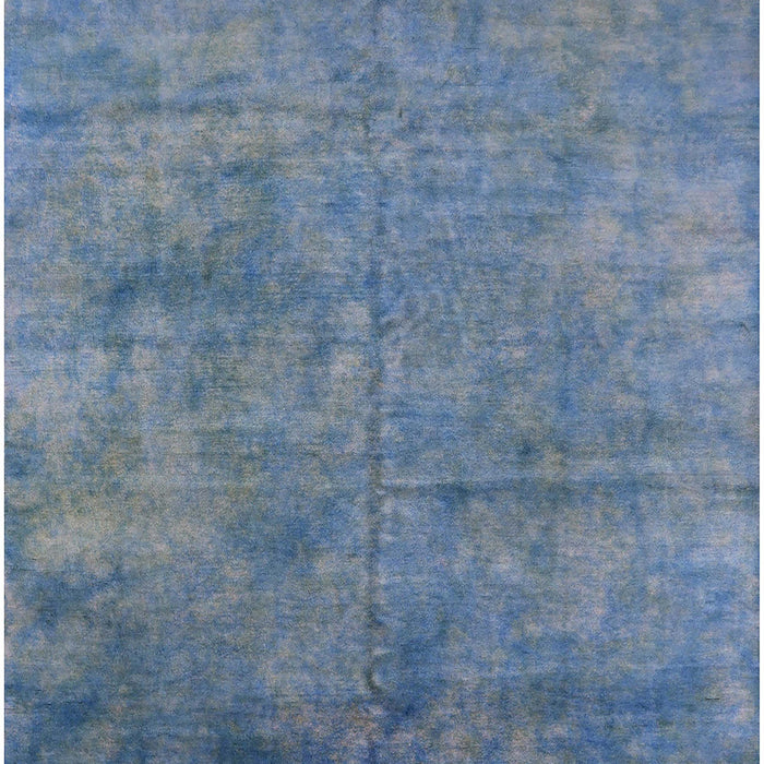 Machine Washable Industrial Modern Koi Blue Rug, wshurb2456