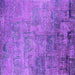 Square Oriental Purple Industrial Rug, urb2465pur