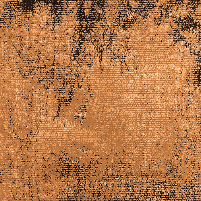 Machine Washable Oriental Orange Industrial Area Rugs, wshurb2491org