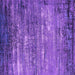 Square Machine Washable Oriental Purple Industrial Area Rugs, wshurb2493pur