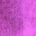 Square Machine Washable Oriental Pink Industrial Rug, wshurb2517pnk