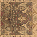 Square Machine Washable Oriental Brown Industrial Rug, wshurb2520brn