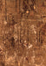 Oriental Orange Industrial Rug, urb2523org