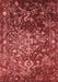 Oriental Red Industrial Area Rugs