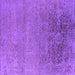 Square Oriental Purple Industrial Rug, urb2542pur