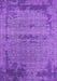 Oriental Purple Industrial Rug, urb2549pur