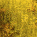 Square Oriental Yellow Industrial Rug, urb2553yw