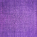 Square Machine Washable Oriental Purple Industrial Area Rugs, wshurb2555pur