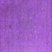 Square Oriental Purple Industrial Rug, urb2561pur