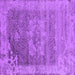 Square Machine Washable Oriental Purple Industrial Area Rugs, wshurb2596pur