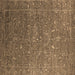 Square Oriental Brown Industrial Rug, urb2604brn