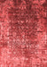 Oriental Red Industrial Area Rugs