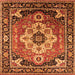 Square Persian Orange Traditional Rug, urb2636org