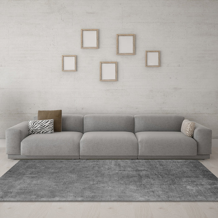 Machine Washable Oriental Gray Industrial Rug in a Living Room,, wshurb2642gry