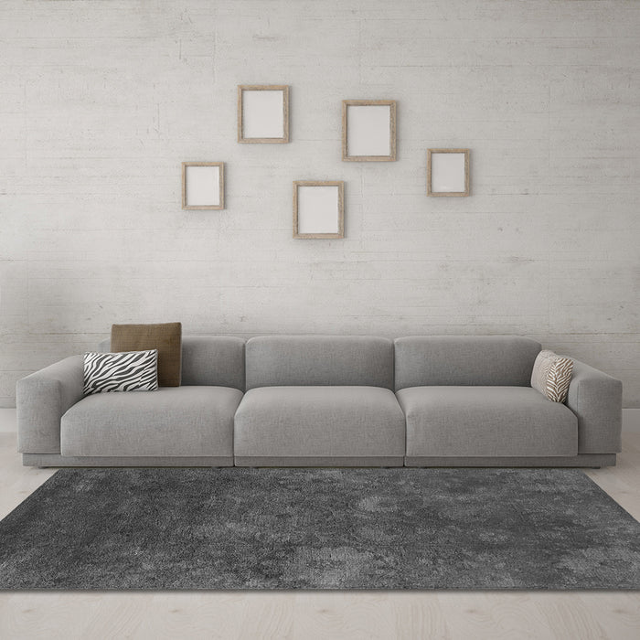 Machine Washable Oriental Gray Industrial Rug in a Living Room,, wshurb2645gry