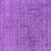 Square Machine Washable Oriental Purple Industrial Area Rugs, wshurb2665pur