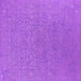 Square Oriental Purple Industrial Rug, urb2668pur