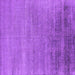 Square Machine Washable Oriental Purple Industrial Area Rugs, wshurb2672pur