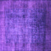 Square Machine Washable Oriental Purple Industrial Area Rugs, wshurb2676pur