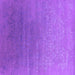 Square Oriental Purple Industrial Rug, urb2686pur