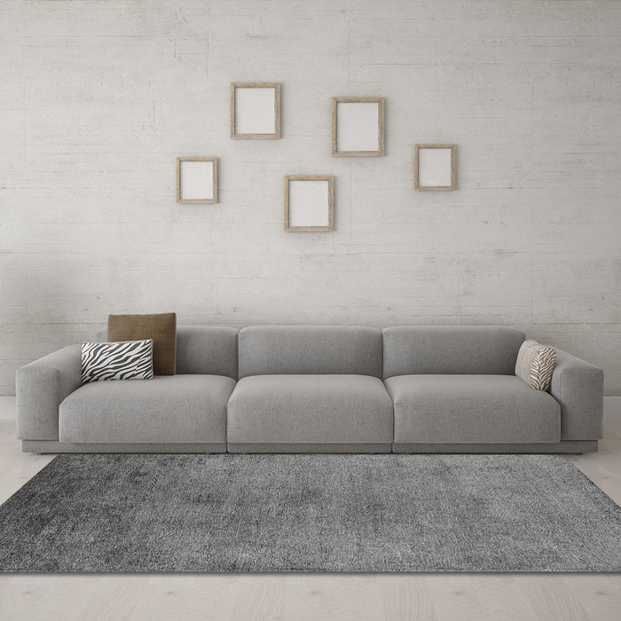 Machine Washable Oriental Gray Industrial Rug in a Living Room,, wshurb2690gry