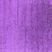 Square Oriental Purple Industrial Rug, urb2702pur