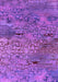 Machine Washable Oriental Purple Industrial Area Rugs, wshurb2711pur