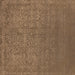 Square Machine Washable Oriental Brown Industrial Rug, wshurb2724brn