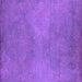 Square Oriental Purple Industrial Rug, urb2734pur