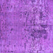 Square Machine Washable Oriental Purple Industrial Area Rugs, wshurb2764pur