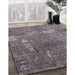 Machine Washable Industrial Modern Gray Rug in a Family Room, wshurb2773