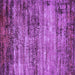 Square Machine Washable Oriental Purple Industrial Area Rugs, wshurb2786pur