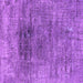 Square Oriental Purple Industrial Rug, urb2806pur