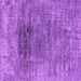 Square Machine Washable Oriental Purple Industrial Area Rugs, wshurb2806pur