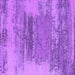 Square Machine Washable Oriental Purple Industrial Area Rugs, wshurb2815pur