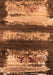 Machine Washable Oriental Orange Industrial Area Rugs, wshurb2827org