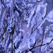 Square Machine Washable Oriental Blue Industrial Rug, wshurb2828blu
