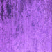 Square Machine Washable Oriental Purple Industrial Area Rugs, wshurb2831pur