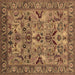 Square Machine Washable Oriental Brown Traditional Rug, wshurb2844brn