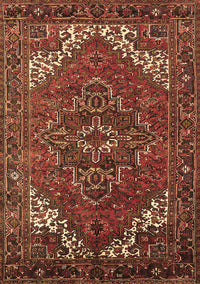 Persian Brown Traditional Rug, urb2850brn
