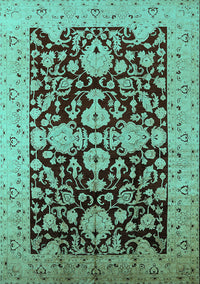 Oriental Turquoise Traditional Rug, urb2854turq