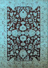Oriental Light Blue Traditional Rug, urb2854lblu